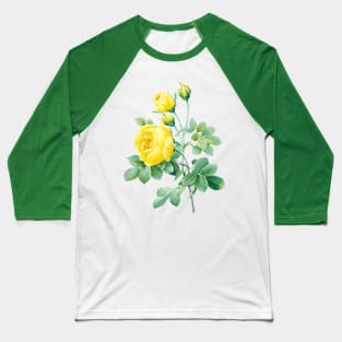 Yellow Rose Baseball T-Shirt